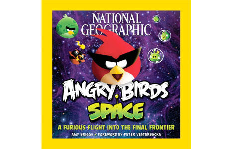 Angry Birds - Что общего у NASA, Angry Birds и NG + примеры страниц
