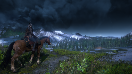 Интервью The Witcher 3: Wild Hunt - Skyrim, PS4, мультиплеер