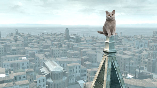 Обо всем - Assassin’s Creed – игра про котиков!